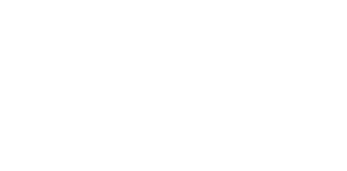 Diversified Strategies Unlimited